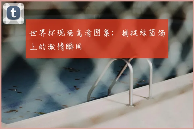 世界杯现场高清图集:捕捉绿茵场上的激情瞬间