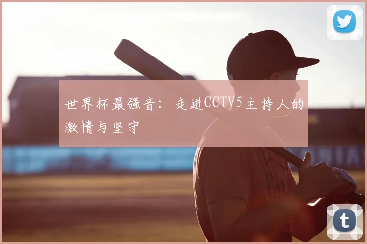 世界杯最强音：走进CCTV5主持人的激情与坚守