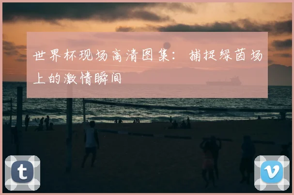 世界杯现场高清图集:捕捉绿茵场上的激情瞬间