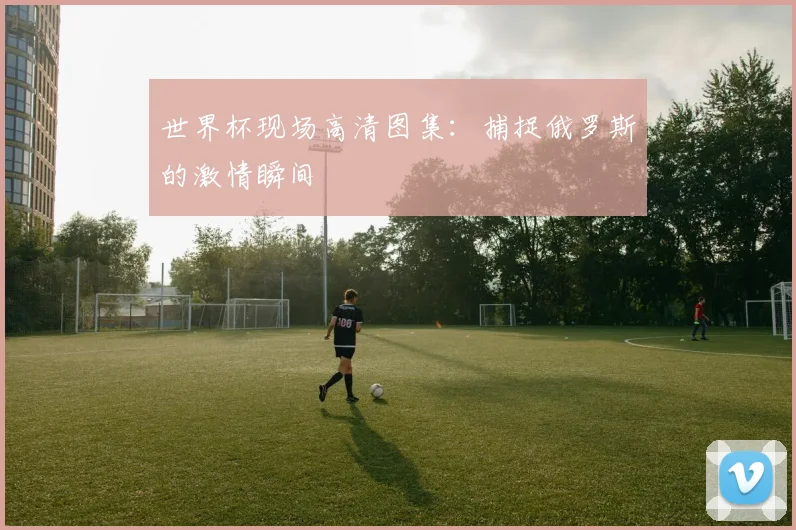 世界杯现场高清图集:捕捉俄罗斯的激情瞬间