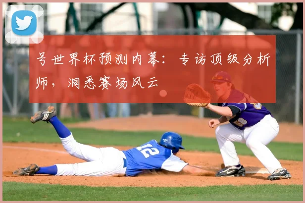 号世界杯预测内幕：专访顶级分析师，洞悉赛场风云