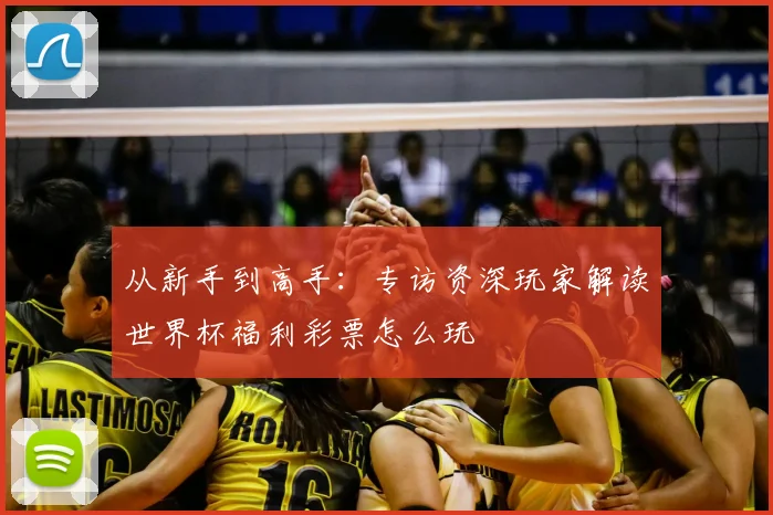 从新手到高手：专访资深玩家解读世界杯福利彩票怎么玩