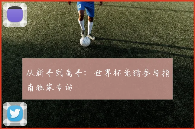 从新手到高手：世界杯竞猜参与指南独家专访
